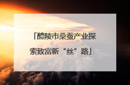 醴陵市桑蚕产业探索致富新“丝”路