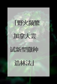 野火频繁 加拿大尝试新型撒种造林法