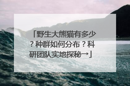 野生大熊猫有多少？种群如何分布？科研团队实地探秘→