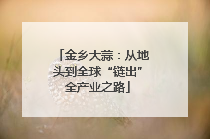金乡大蒜：从地头到全球“链出”全产业之路