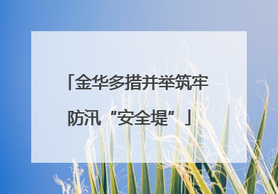 金华多措并举筑牢防汛“安全堤”