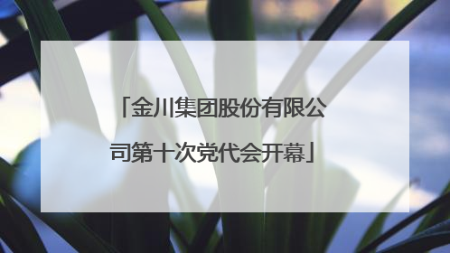 金川集团股份有限公司第十次党代会开幕