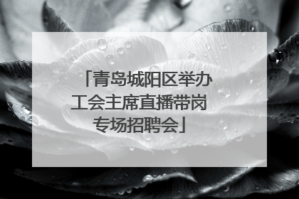 青岛城阳区举办工会主席直播带岗专场招聘会