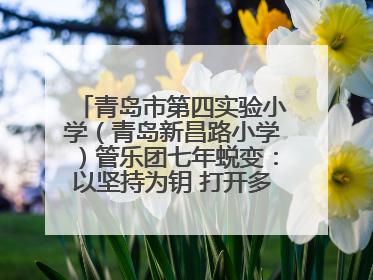 青岛市第四实验小学（青岛新昌路小学）管乐团七年蜕变：以坚持为钥 打开多元成长之门