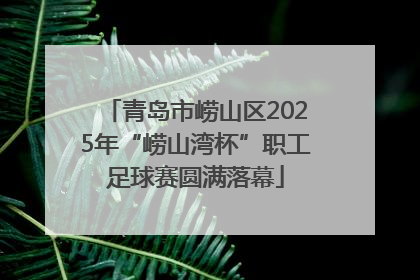 青岛市崂山区2025年“崂山湾杯”职工足球赛圆满落幕