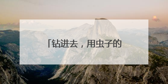 钻进去，用虫子的视角看世界！朱赢椿“虫子电影院”落户南京幼儿园