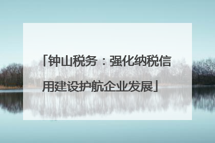 钟山税务：强化纳税信用建设护航企业发展
