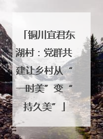 铜川宜君东湖村：党群共建让乡村从“一时美”变“持久美”
