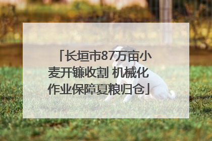 长垣市87万亩小麦开镰收割 机械化作业保障夏粮归仓