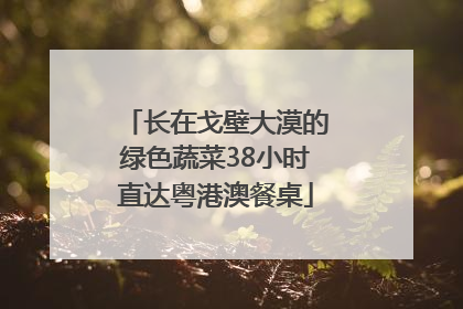 长在戈壁大漠的绿色蔬菜38小时直达粤港澳餐桌