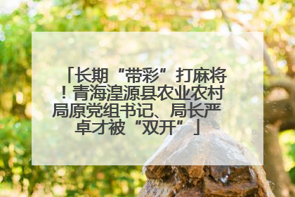 长期“带彩”打麻将！青海湟源县农业农村局原党组书记、局长严卓才被“双开”