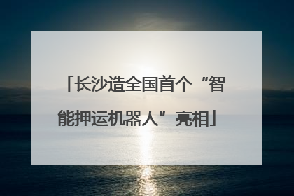 长沙造全国首个“智能押运机器人”亮相