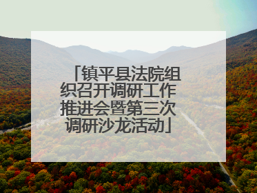 镇平县法院组织召开调研工作推进会暨第三次调研沙龙活动