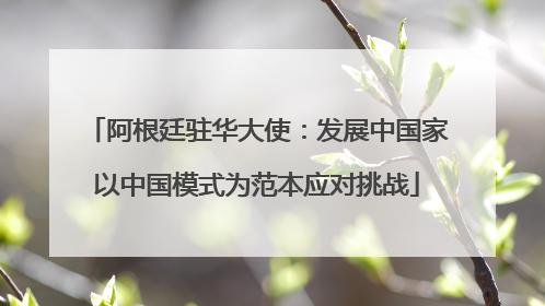 阿根廷驻华大使：发展中国家以中国模式为范本应对挑战