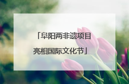 阜阳两非遗项目亮相国际文化节