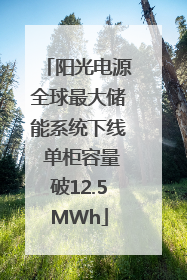 阳光电源全球最大储能系统下线 单柜容量破12.5MWh