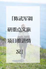 陈武军调研重点文旅项目推进情况