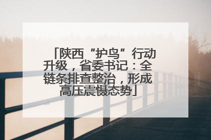 陕西“护鸟”行动升级，省委书记：全链条排查整治，形成高压震慑态势