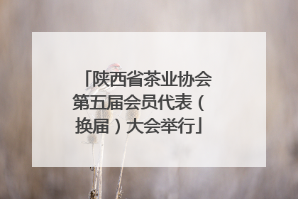 陕西省茶业协会第五届会员代表（换届）大会举行