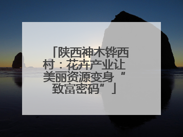 陕西神木铧西村：花卉产业让美丽资源变身“致富密码”