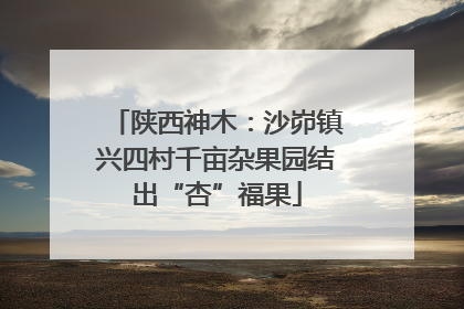 陕西神木：沙峁镇兴四村千亩杂果园结出“杏”福果