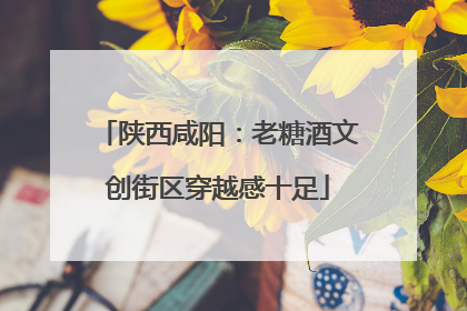 陕西咸阳：老糖酒文创街区穿越感十足