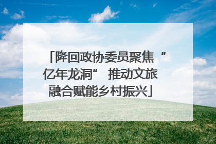隆回政协委员聚焦“亿年龙洞” 推动文旅融合赋能乡村振兴