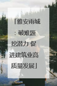 雅安雨城：破难题 挖潜力 促进建筑业高质量发展