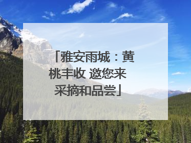 雅安雨城：黄桃丰收 邀您来采摘和品尝