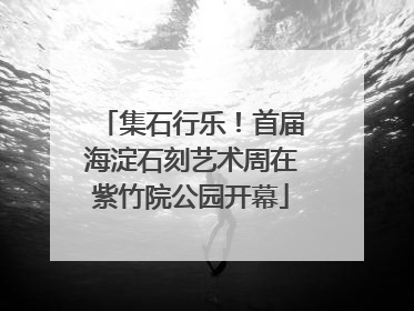 集石行乐！首届海淀石刻艺术周在紫竹院公园开幕