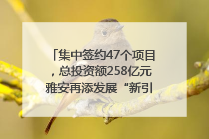 集中签约47个项目，总投资额258亿元 雅安再添发展“新引擎”｜数读西投