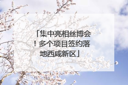 集中亮相丝博会！多个项目签约落地西咸新区