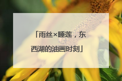 雨丝×睡莲，东西湖的油画时刻