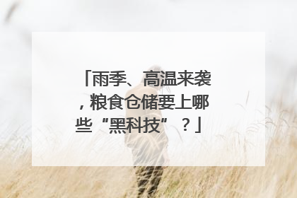 雨季、高温来袭，粮食仓储要上哪些“黑科技”？