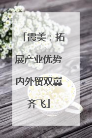霞美：拓展产业优势内外贸双翼齐飞