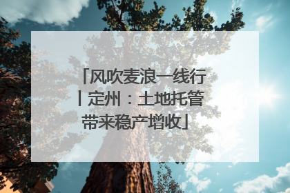 风吹麦浪一线行丨定州：土地托管带来稳产增收