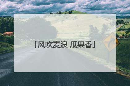 风吹麦浪 瓜果香