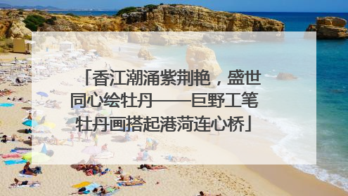 香江潮涌紫荆艳，盛世同心绘牡丹——巨野工笔牡丹画搭起港菏连心桥