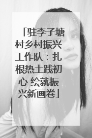 驻李子塘村乡村振兴工作队：扎根热土践初心 绘就振兴新画卷