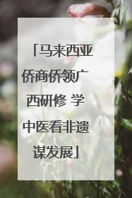 马来西亚侨商侨领广西研修 学中医看非遗谋发展
