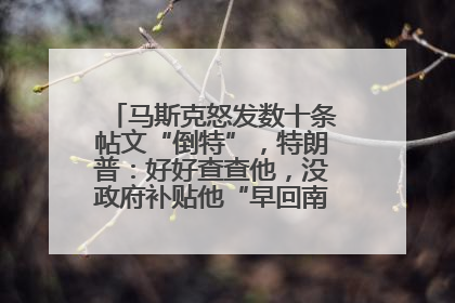 马斯克怒发数十条帖文“倒特”，特朗普：好好查查他，没政府补贴他“早回南非老家”了