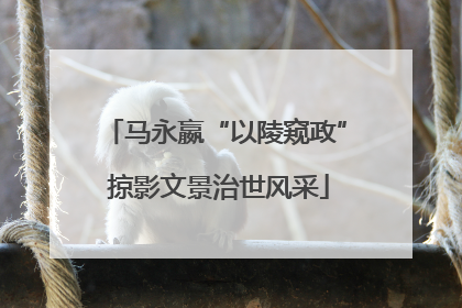 马永嬴“以陵窥政” 掠影文景治世风采