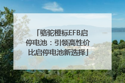 骆驼橙标EFB启停电池：引领高性价比启停电池新选择