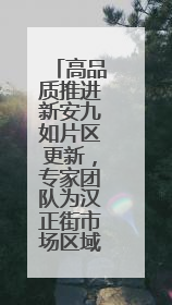 高品质推进新安九如片区更新，专家团队为汉正街市场区域有机更新把脉问诊