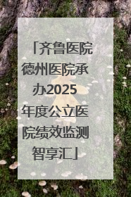 齐鲁医院德州医院承办2025年度公立医院绩效监测智享汇