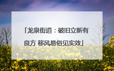 龙泉街道：破旧立新有良方 移风易俗见实效