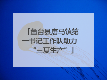 鱼台县唐马镇第一书记工作队助力“三夏生产”