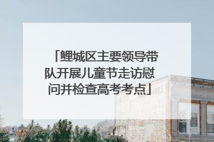 鲤城区主要领导带队开展儿童节走访慰问并检查高考考点