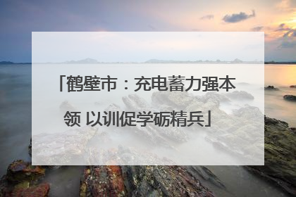 鹤壁市：充电蓄力强本领 以训促学砺精兵