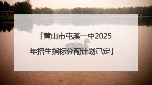 黄山市屯溪一中2025年招生指标分配计划已定